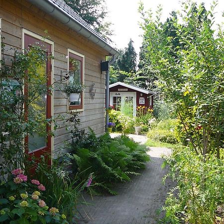 Zonneraai Villa Nieuweroord Eksteriør bilde