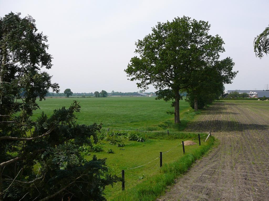 Zonneraai Villa Nieuweroord Eksteriør bilde